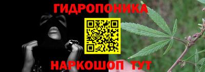 стаф Нальчик