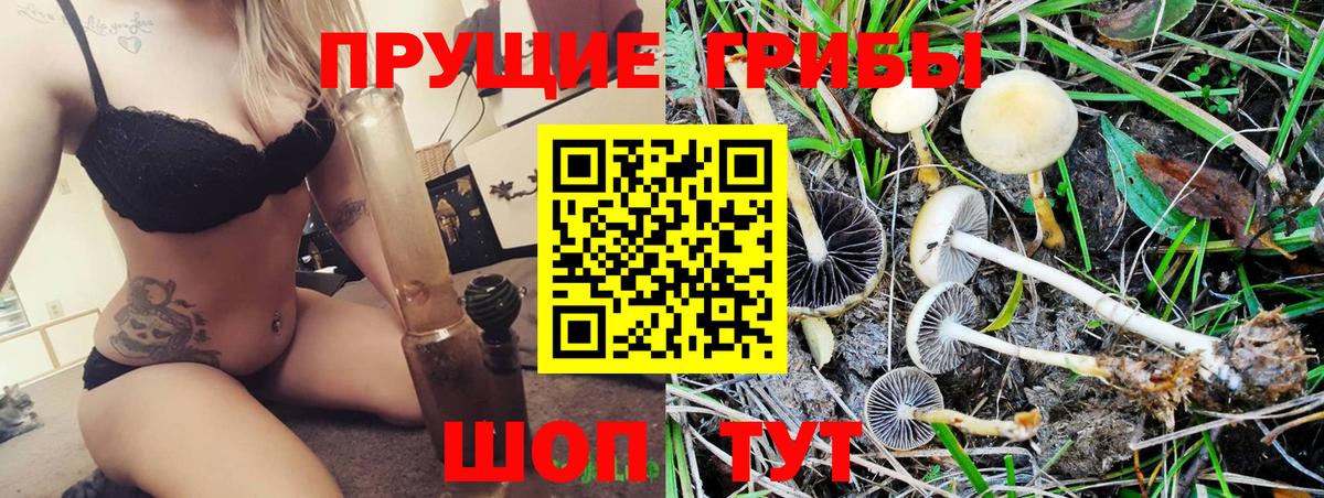 Галлюциногенные грибы Psilocybine cubensis  Вход с VPN  Тверь 