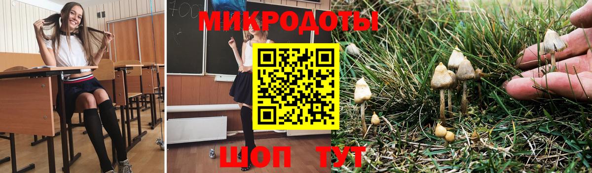 Галлюциногенные грибы мухоморы Тверь
